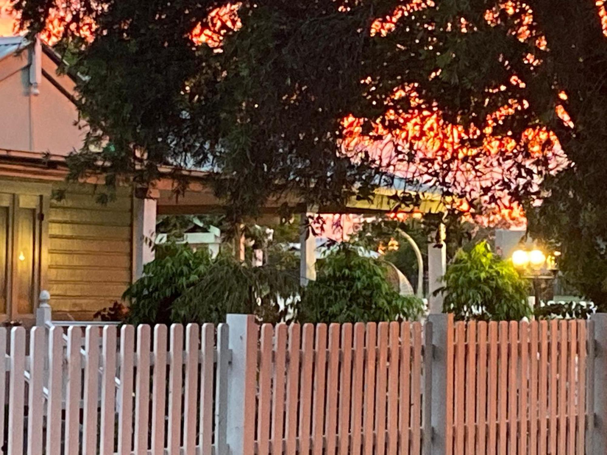 Birches B&B Taree Buitenkant foto