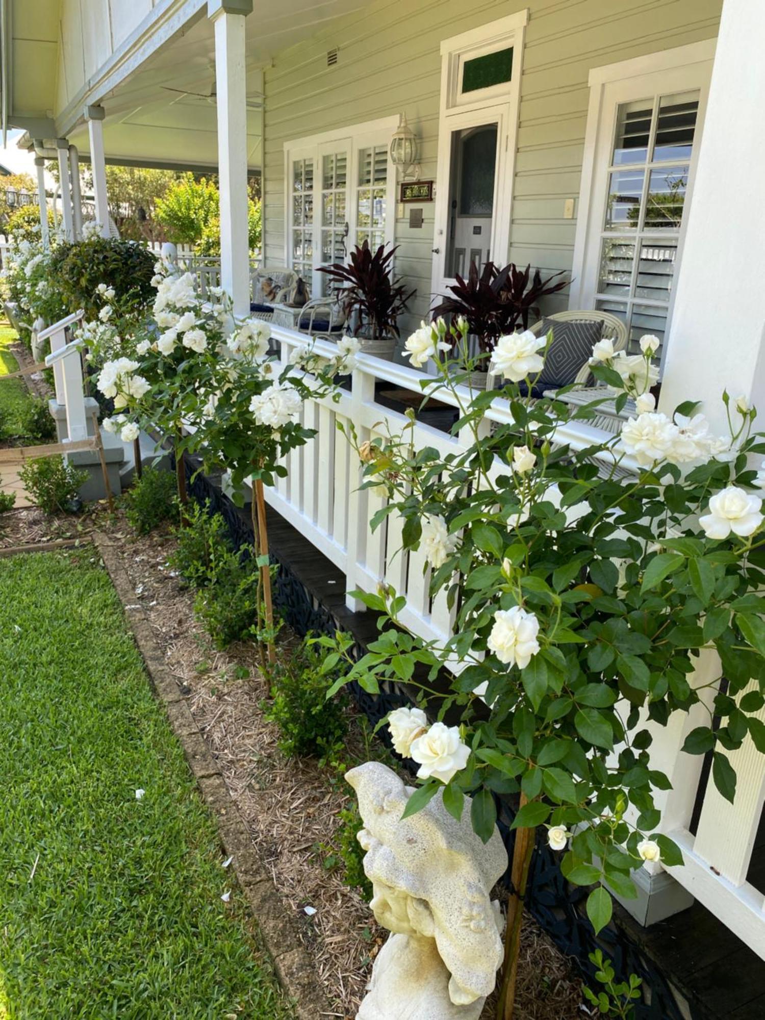 Birches B&B Taree Buitenkant foto