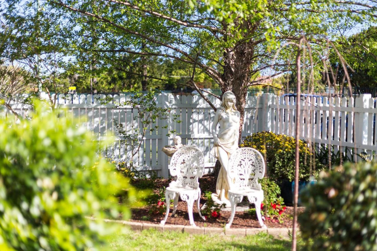 Birches B&B Taree Buitenkant foto